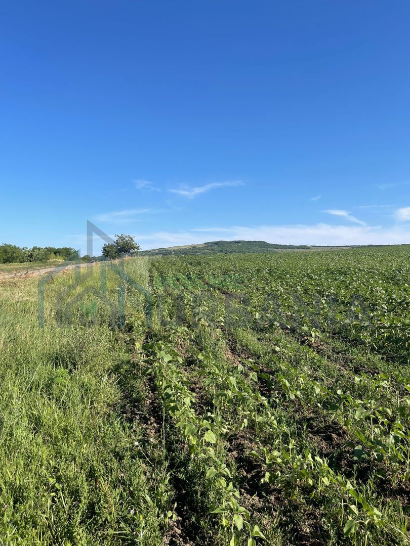 Teren de vânzare 4.850 mp în comuna Mogoșești, sat Budești - Poză 3