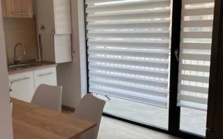 Zona Bucium/ Apartamet 1 camera/ Etaj Intermediar/ Bloc Nou - Poză 5