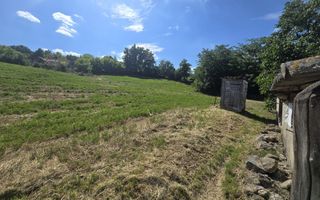 Casă cu teren de 1,4 hectare și vie, în Raducaneni - 3 camere - Poză 6