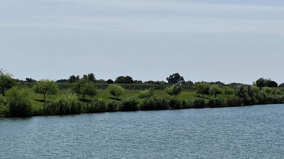 Balta de Pescuit | Cabana din Busteni | Teren 6,37 ha | langa Oradea - Poză 16