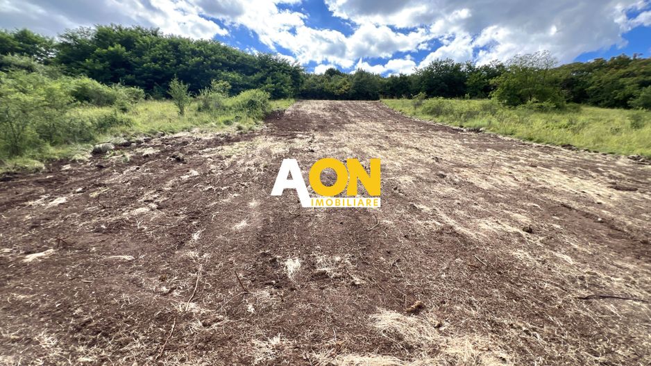 Teren sub padure cu o priveliste deosebita, 1500mp - Poză 1