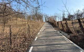 Teren intravilan 2788 mp deschidere 55 ml cu vedere panoramica ! - Poză 18