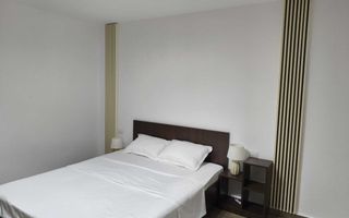 Ggarsoniera complet mobilata si utilatain Brazda lui Novac - Poză 2