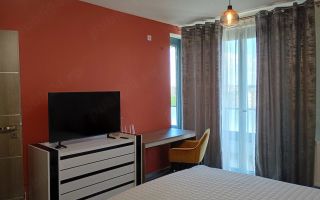 Apartament cu 1 camera de închiriat | Park Lake | Parcare Subterana - Poză 2