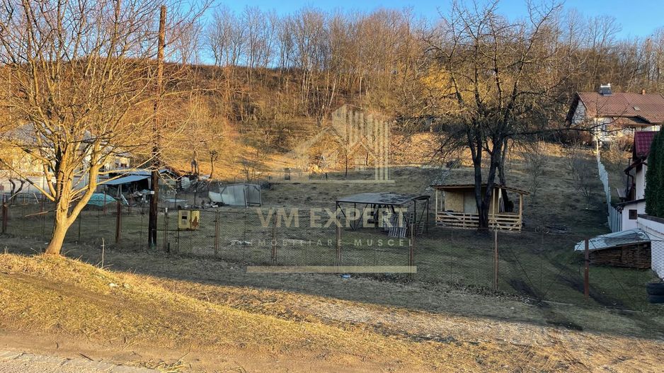 TEREN INTRAVILAN 700 MP VISOI CAMPULUNG - Poză 1