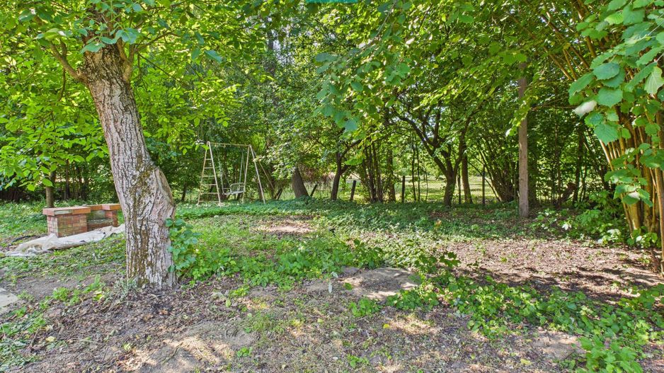 Căsuță de vacanță – cu POTENȚIAL DE INVESTIȚIE - Poză 5