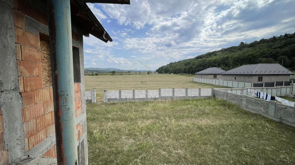 Casa Cartier Andrasesti - la rosu - Poză 4