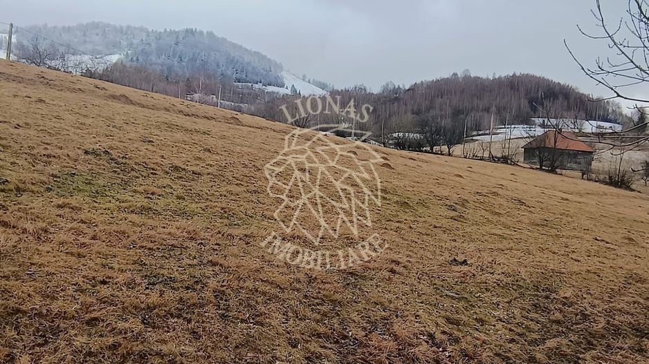 COMISION 0 TEREN TURISTIC EXTRAVILAN APROAPE DE PADURE VISAGU VLADEASA CLUJ - Poză 7