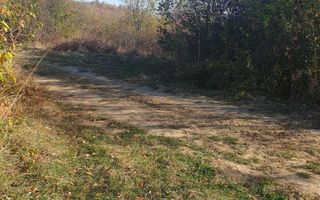 Teren extravilan de vânzare – Tomesti sat, zona deluroasa - Poză 2
