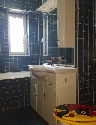 Apartament  Vacaresti/Delta - Poză 9