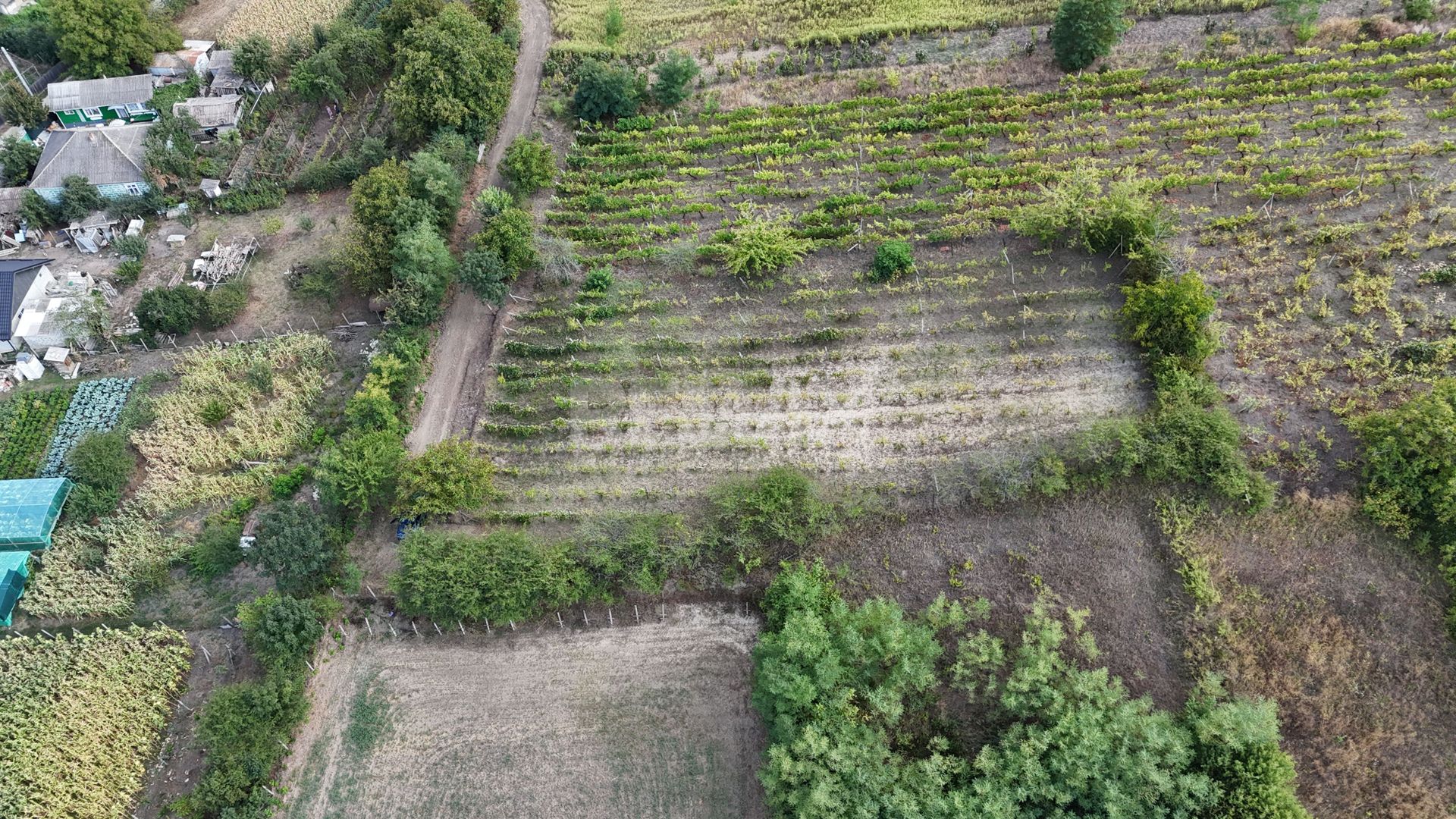 Teren de vânzare – 15 ari în Nimoreni, r-nul Ialoveni - Poză 6