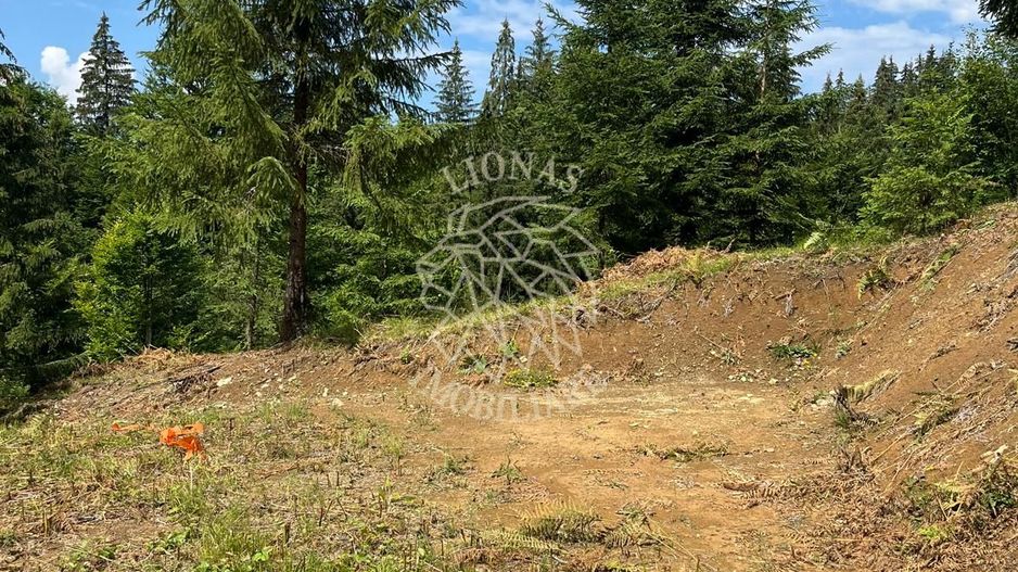 Teren intravilan 1074 mp cu utilitati-ideal pensiune, cabane-Colibita - Poză 3