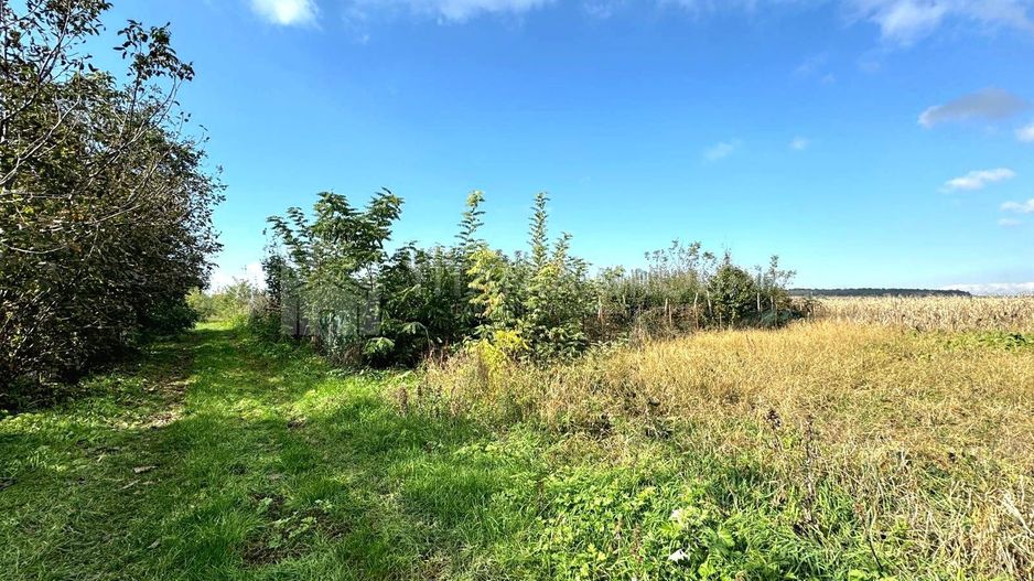 Livada+gradina, teren intravilan 2902mp, Damienesti-Bacau, comision 0 - Poză 12