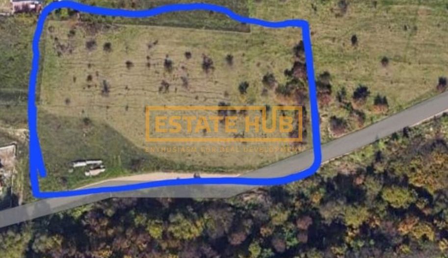 Teren intravilan de 4500 mp  – Ideal pentru case sau duplexuri ! - Poză 2