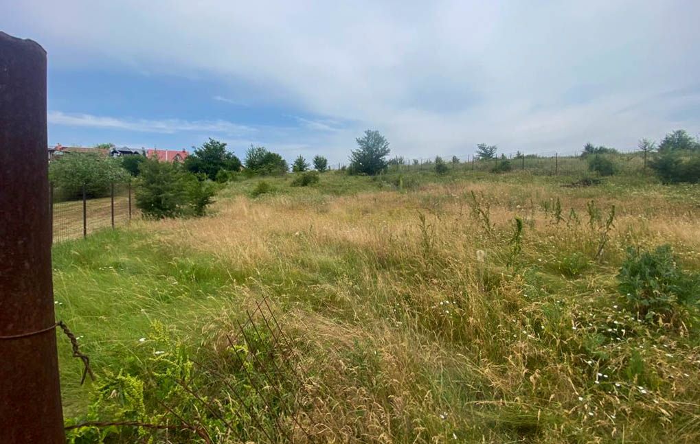 Teren Intravilan de vanzare 3778 mp Branesti Strada Violetelor - Poză 14