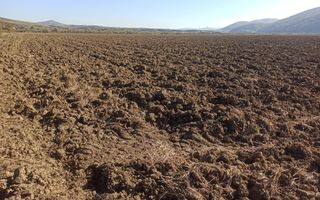 Teren 7500 mp-ideal agricultura, invetitie-Sarata - Poză 1