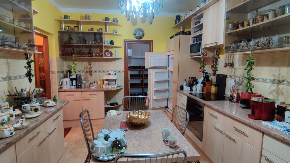 CASA INDIVIDUALA SI HALA CU TEREN  4000 MP - Poză 9