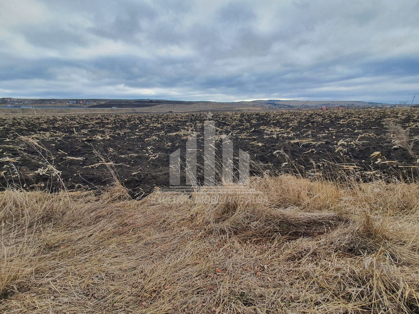 Vand teren extravilan - Poză 4