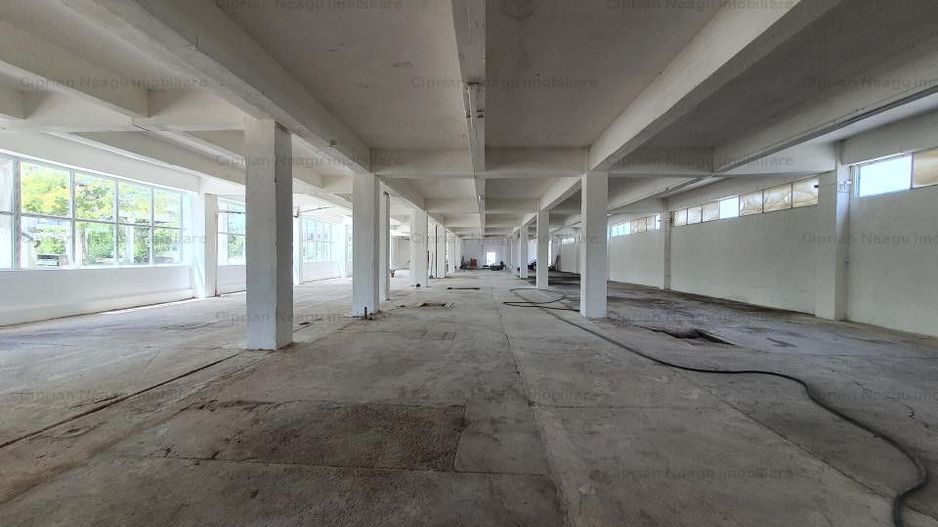 Hala Depozitare de Inchiriat Pitesti - Poză 4