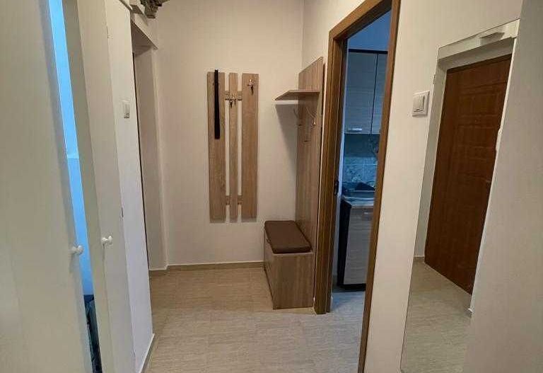 Inchiriam  apartament 2 camere/ Pajura - Poză 7