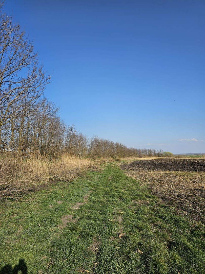 Teren extravilan pentru balastiera Biharia - Poză 6