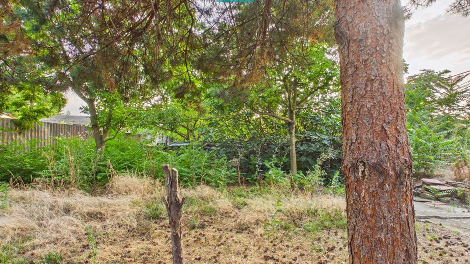 Casă modestă cu 3 camere din văiugă în Bătania - Poză 6