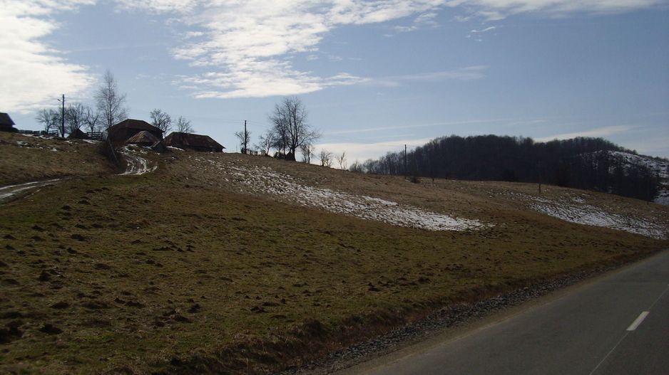 Teren intravilan Rosia, 12 000 mp, cu proiect aprobat. Comision 0. - Poză 9