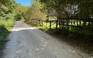 Cabana de vanzare, Valea Manastirii - Ramet - Poză 11