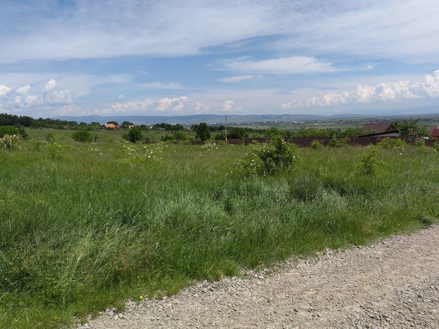 Teren intravilan 550 m² între Szalomer și Sîncraiu - Poză 1