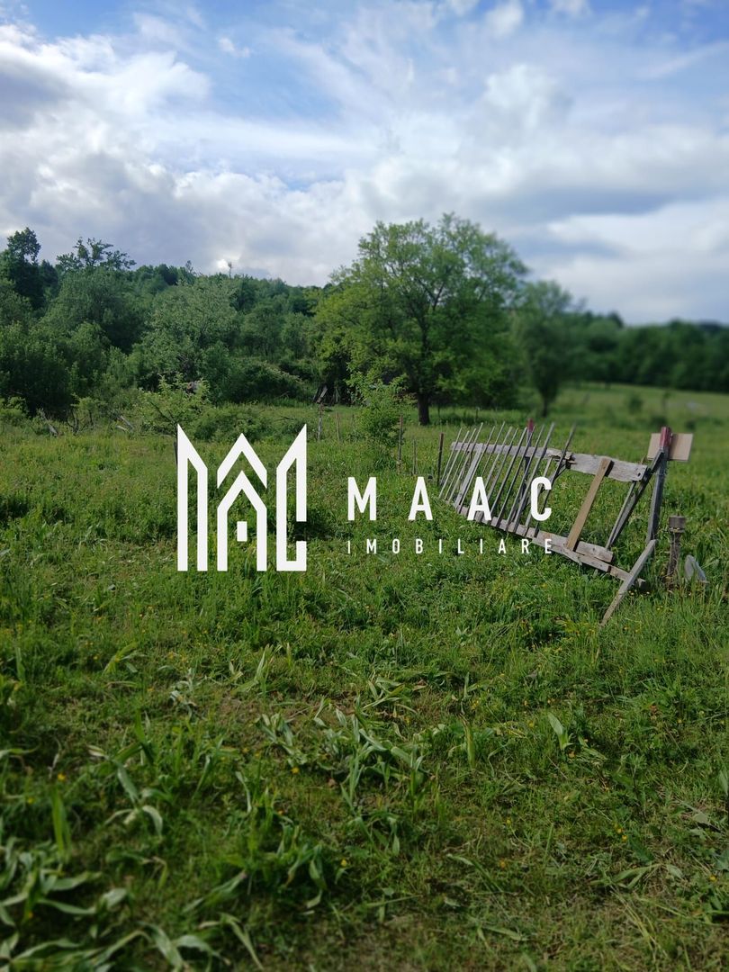 Teren Salatrucel | 8300 m | 12 euro/ metru | Intravilan si extravilan | - Poză 1