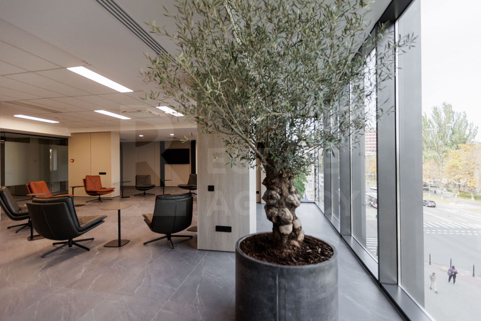 Chirie, oficiu, 160 mp, bulevardul Ștefan cel Mare și Sfânt, Centru - Poză 61