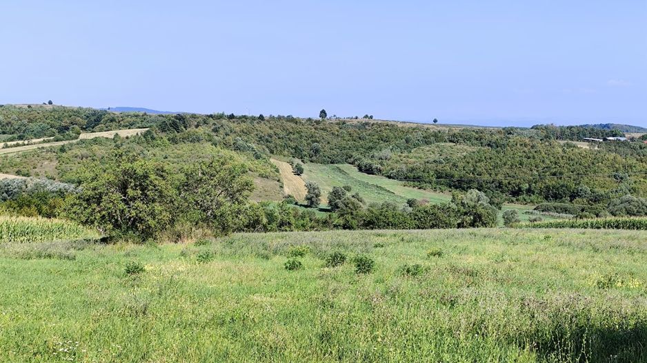 Casa la tara de vanzare, teren mare, 2 intrari auto - Calea Mare, Biho - Poză 19