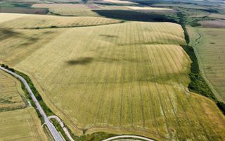 Teren la sosea Ortisoara - Autostrada A1 - Poză 19