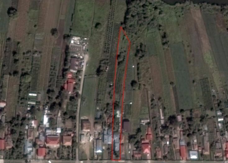 Proprietar - Casa Moara Vlasiei - Teren 1750mp - Poză 5