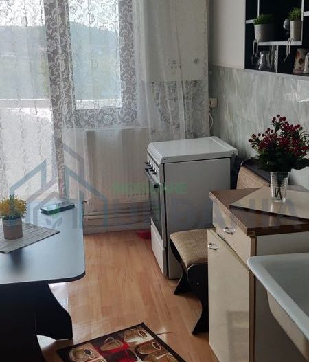 Apartament de închiriat, 2 camere, Lunca Cetățuii - 270 EUR - Poză 5