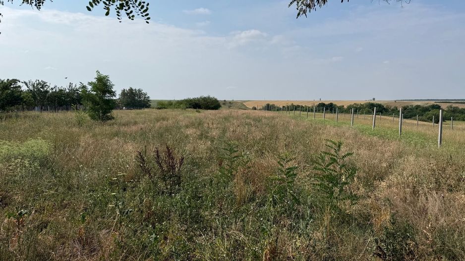 Teren intravilan Miersig, vedere la lac. 12,5 E/mp neg. Comision 0 - Poză 10