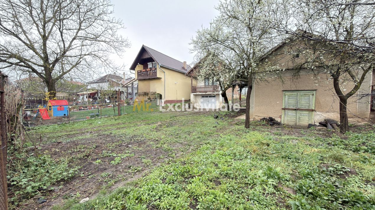 De vânzare 2 Case de vinificație cu Teren 4108 mp - Grădina Viilor - Carei - Poză 3