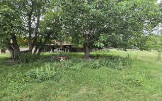 Casa 4 camere 2487 mp teren Arpasu de Jos - Poză 20