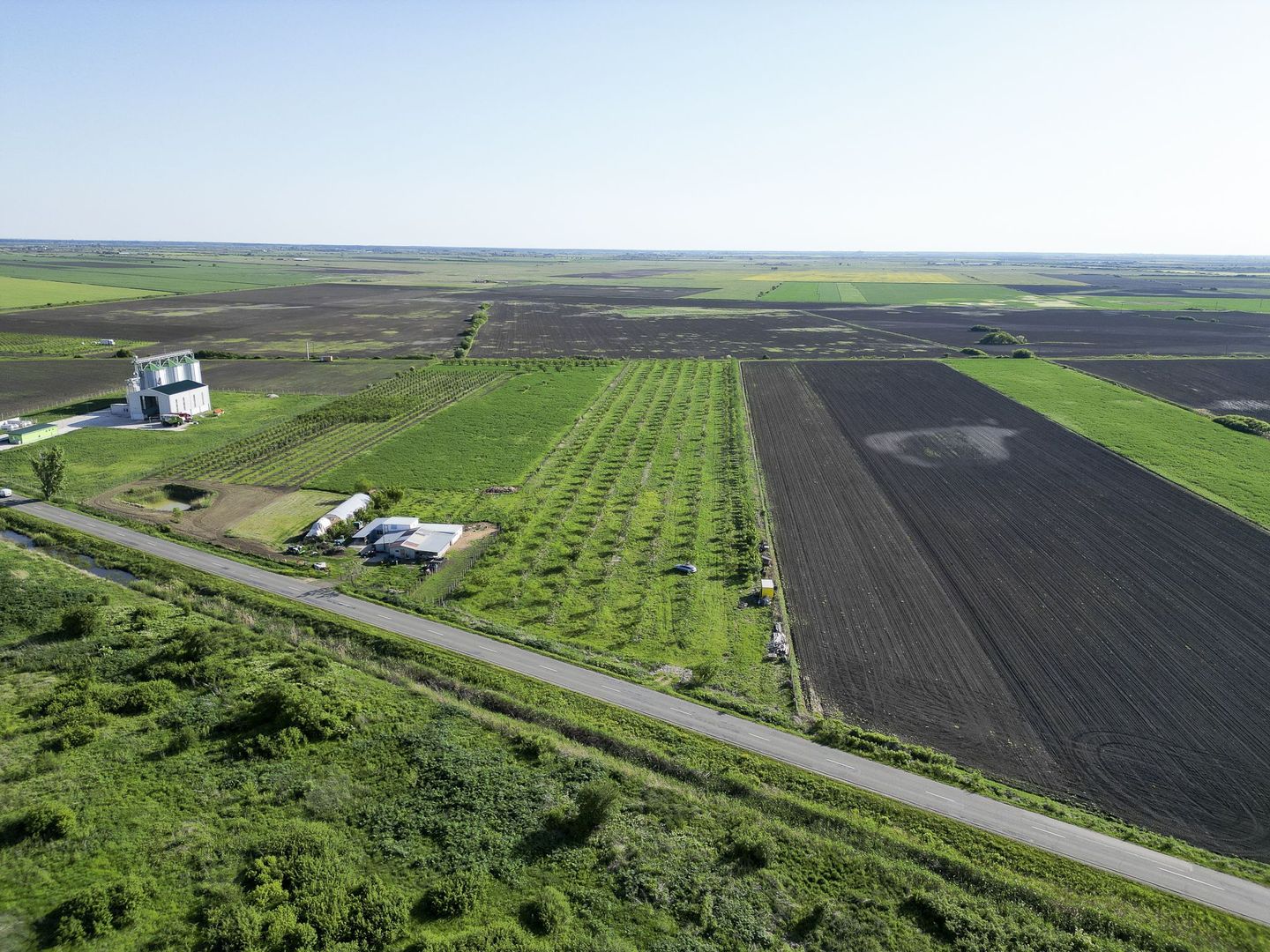 Livadă de nuci și pruni 2.4ha în Variașul Mare - Poză 3