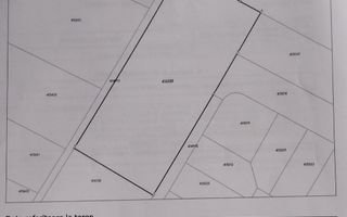 Teren Generos 5.653 mp – Dumbrăvița, Str. Gárdonyi Géza - Poză 1