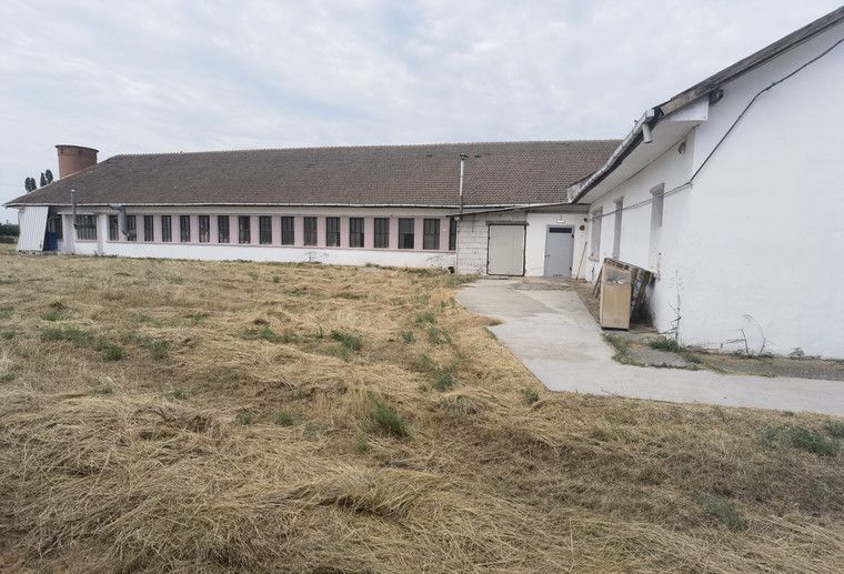 Proprietate industriala la 30 km exterior sud Timisoara - Poză 44