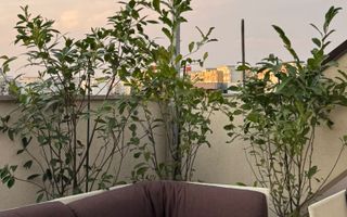 De vanzare Penthouse spectaculos Apartament 3 camere, Timpuri Noi - Poză 28