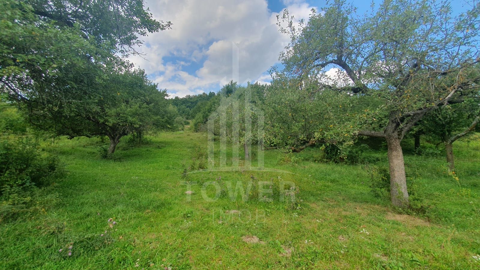 Teren extravilan de vânzare – 2.110 mp în Sibiel - Poză 4