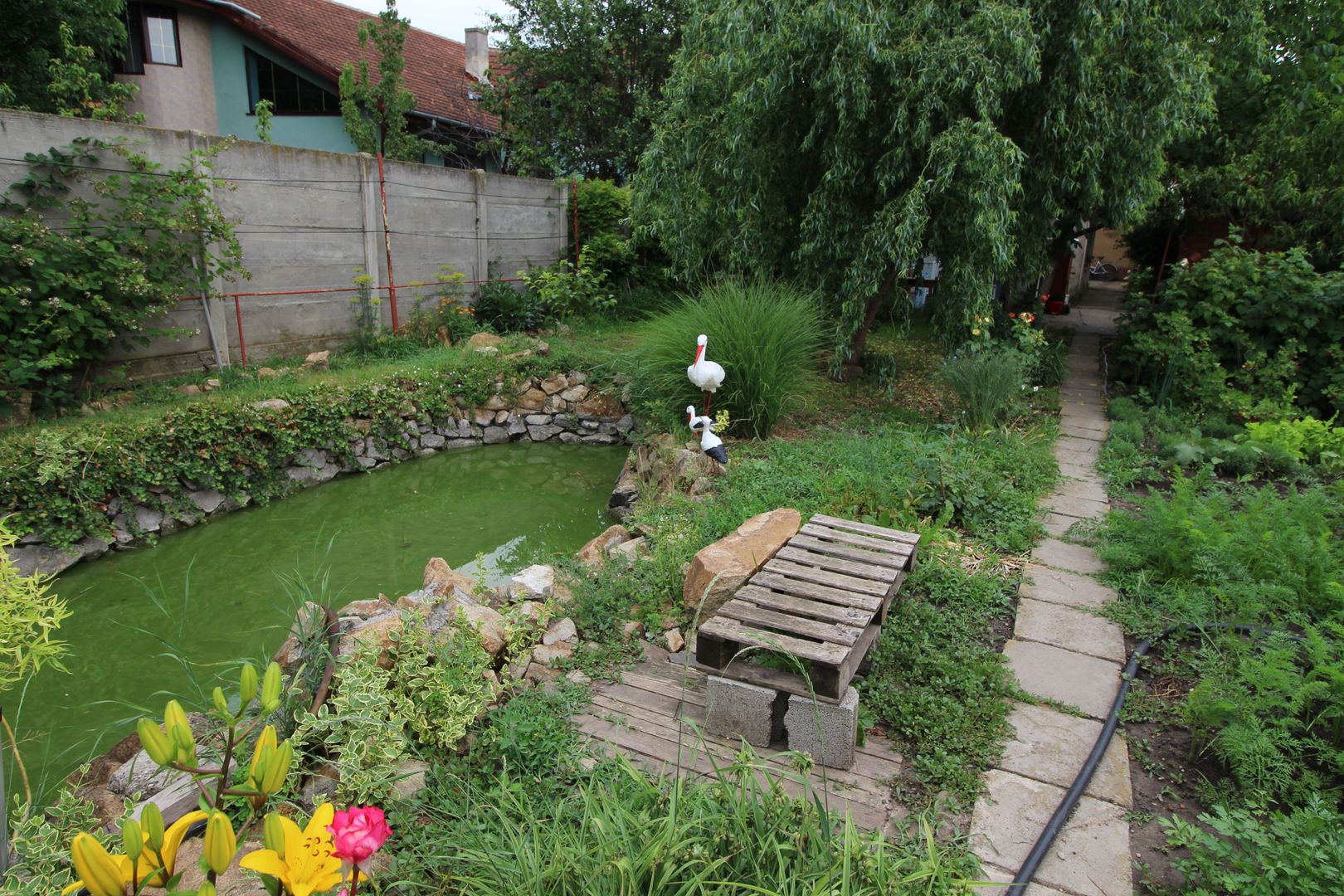 CASA CU TEREN MARE IN ZONA MEHALA - Poză 15