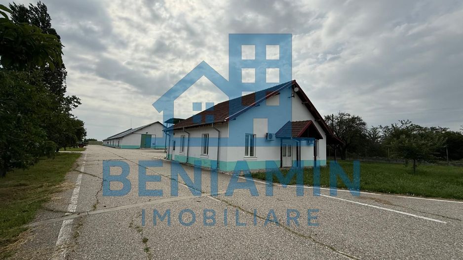 Depozit Cereale-3 Silozuri-Aut ISU-31.000mp-Perfect functional-Olt - Poză 5