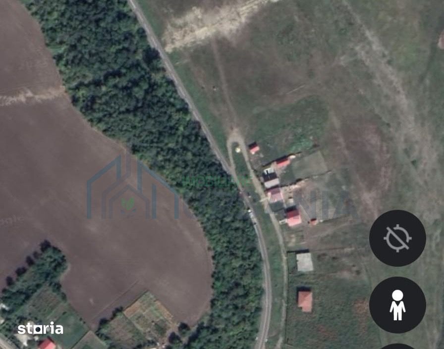 Teren cu pădure de salcâm de vânzare în Târgu Frumos, comuna Țigănași – ideal pentru apicultură - Poză 1