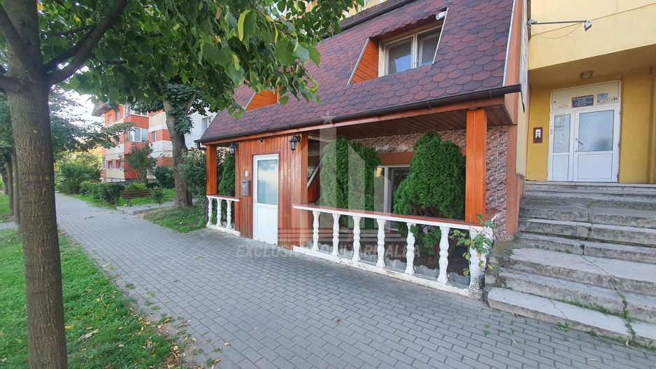 Spatiu comercial de vanzare, Tolstoi - Poză 2