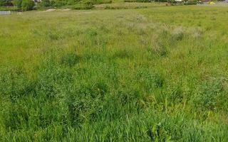 Teren intravilan | De vanzare | 5738 mp | Micesti - Poză 1