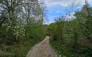 Teren intravilan 1454 mp la marginea padurii zona locuita de case! - Poză 15