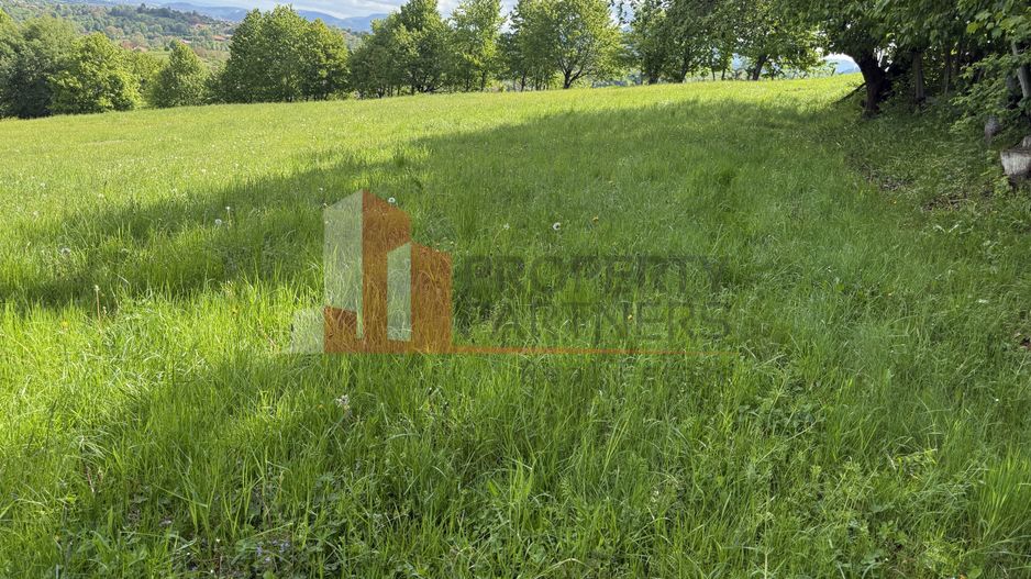 Teren Bran Sohodol 6700 mp - Poză 2